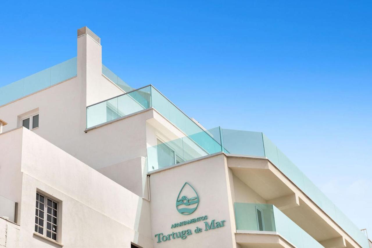 Feelathome Tortuga De Mar Palma de Mallorca Bagian luar foto